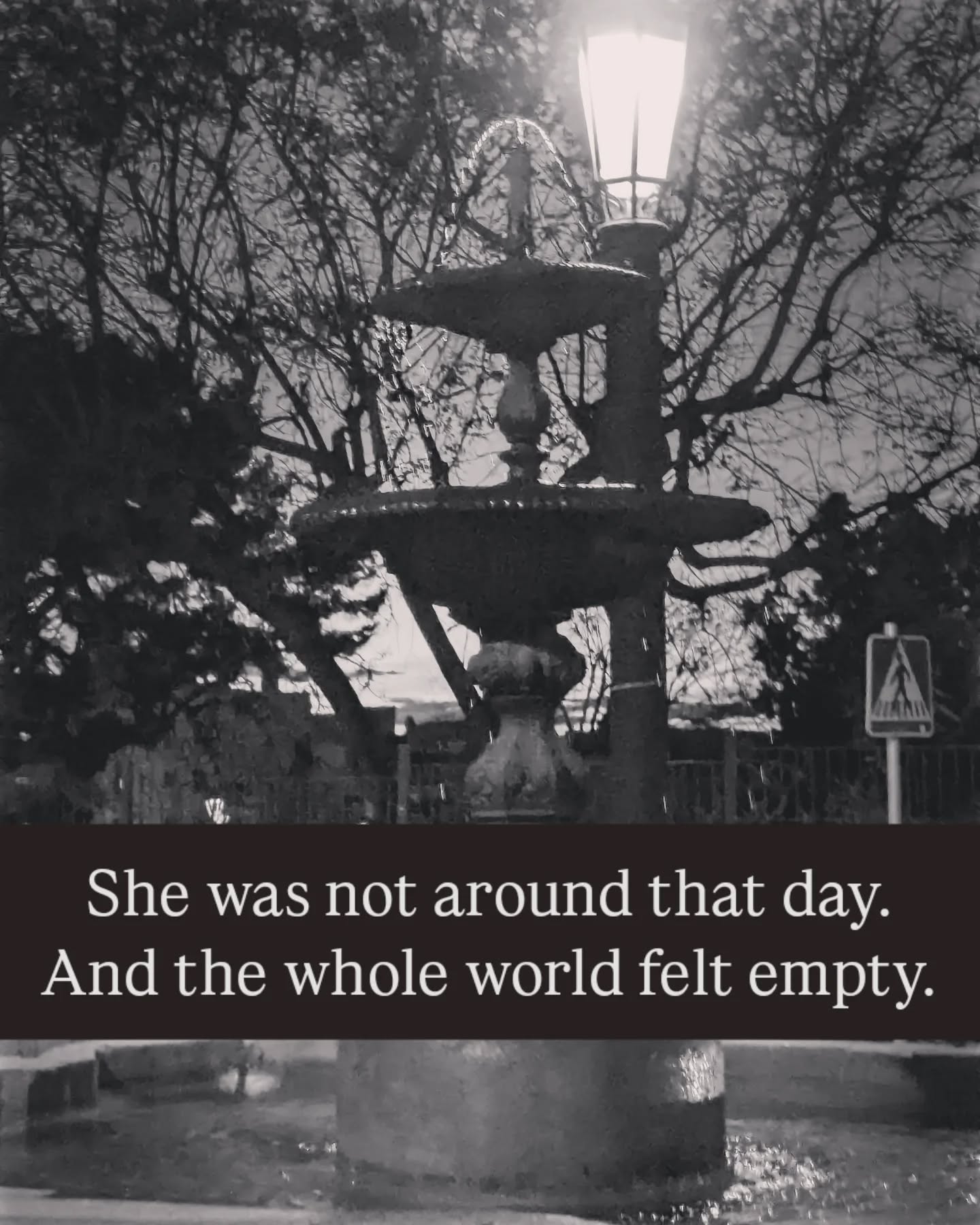 🌧️ populating the streets were only dying echoes 🌁